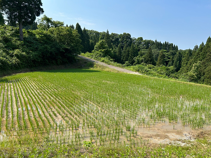 市道今山田小島線道路災害復旧工事